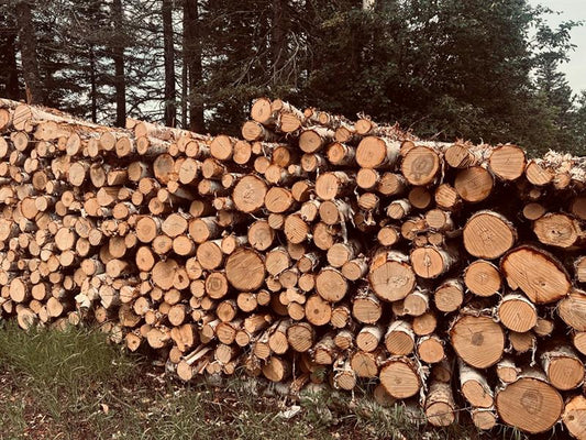 Why I Choose Wood: A Story of Purpose, Connection, and Stewardship