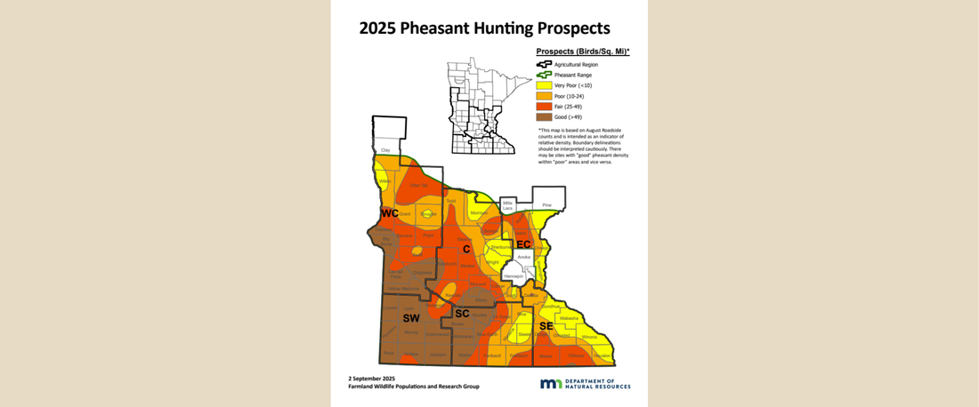 2025 Minnesota Pheasant Roadside Count From the MNDNR